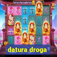 datura droga